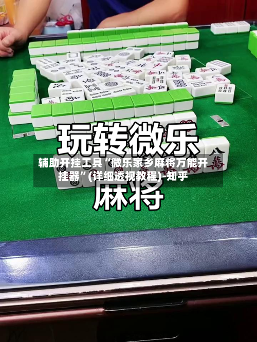 辅助开挂工具“微乐家乡麻将万能开挂器	”(详细透视教程)-知乎-第3张图片