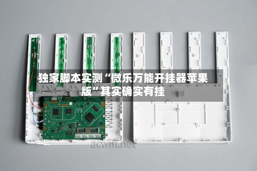 独家脚本实测“微乐万能开挂器苹果版”其实确实有挂-第2张图片