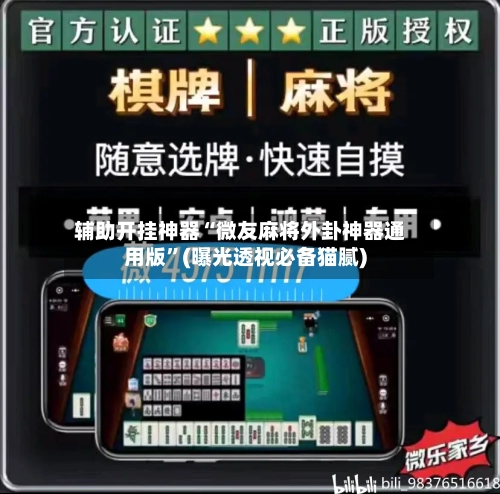 辅助开挂神器“微友麻将外卦神器通用版	”(曝光透视必备猫腻)-第2张图片