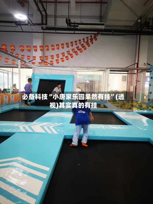 必备科技“小唐家乐园果然有挂	”(透视)其实真的有挂-第2张图片