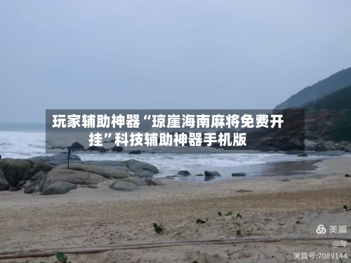 玩家辅助神器“琼崖海南麻将免费开挂”科技辅助神器手机版-第2张图片