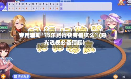 专用辅助“微乐跑得快有猫腻么”(曝光透视必备猫腻)