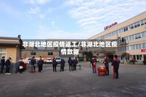 非湖北地区疫情返工/非湖北地区疫情数据