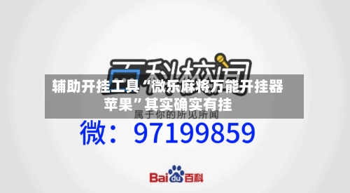 辅助开挂工具“微乐麻将万能开挂器苹果”其实确实有挂-第3张图片