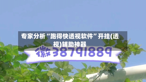 专家分析“跑得快透视软件”开挂(透视)辅助神器-第3张图片