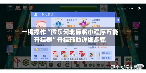 一键操作“微乐河北麻将小程序万能开挂器”开挂辅助详细步骤-第2张图片