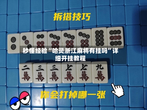 秒懂经验“哈灵浙江麻将有挂吗”详细开挂教程