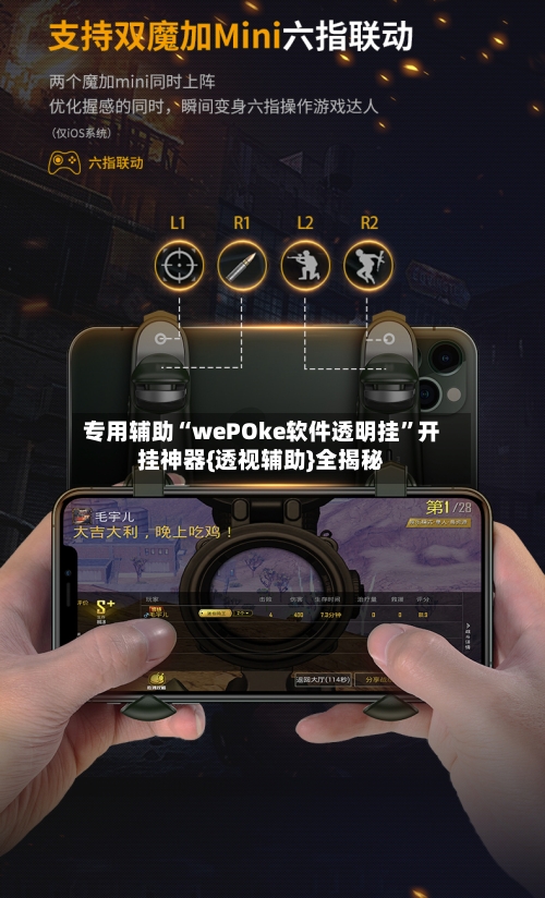 专用辅助“wePOke软件透明挂”开挂神器{透视辅助}全揭秘