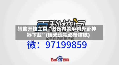 辅助开挂工具“微乐内蒙麻将外卦神器下载”(曝光透视必备猫腻)-第3张图片