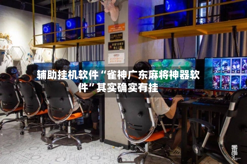 辅助挂机软件“雀神广东麻将神器软件”其实确实有挂-第2张图片