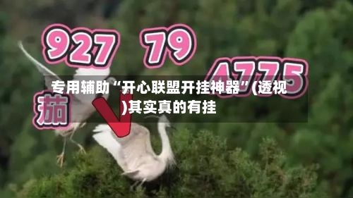 专用辅助“开心联盟开挂神器”(透视)其实真的有挂-第2张图片