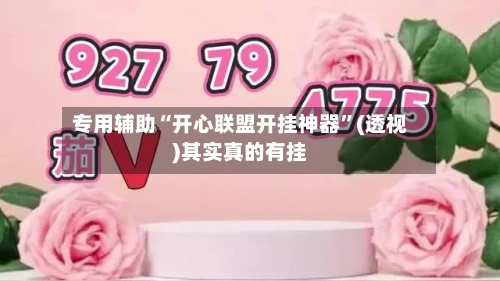 专用辅助“开心联盟开挂神器	”(透视)其实真的有挂-第3张图片