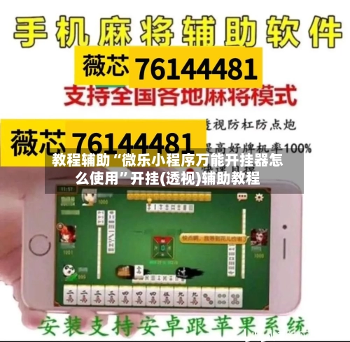 教程辅助“微乐小程序万能开挂器怎么使用”开挂(透视)辅助教程-第3张图片