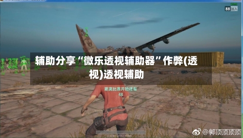 辅助分享“微乐透视辅助器”作弊(透视)透视辅助-第2张图片