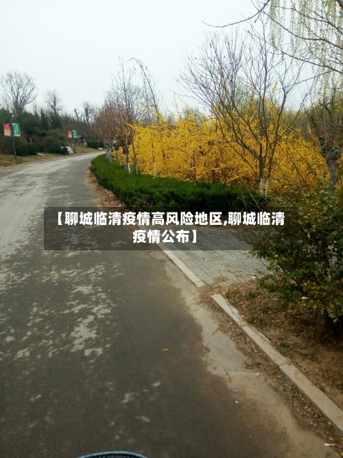 【聊城临清疫情高风险地区,聊城临清疫情公布】-第2张图片
