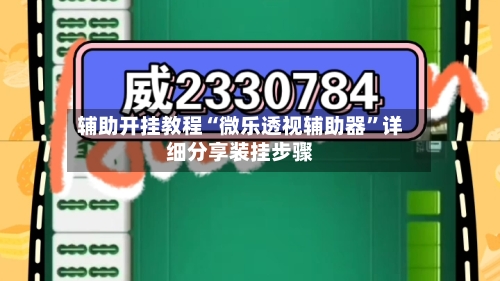 辅助开挂教程“微乐透视辅助器”详细分享装挂步骤