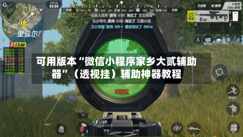 可用版本“微信小程序家乡大贰辅助器	”（透视挂）辅助神器教程-第2张图片