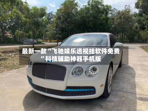 最新一款“飞驰娱乐透视挂软件免费”科技辅助神器手机版-第3张图片