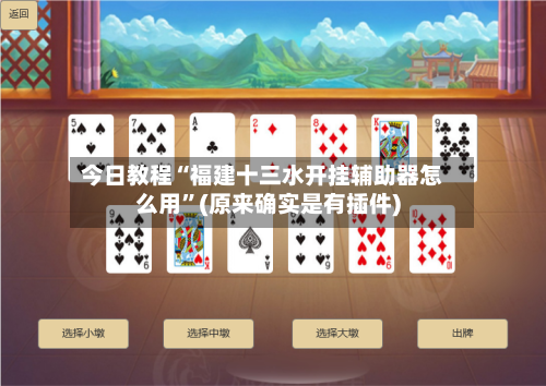 今日教程“福建十三水开挂辅助器怎么用	”(原来确实是有插件)-第2张图片