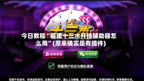 今日教程“福建十三水开挂辅助器怎么用”(原来确实是有插件)