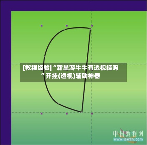 [教程经验]“新星游牛牛有透视挂吗”开挂(透视)辅助神器-第2张图片
