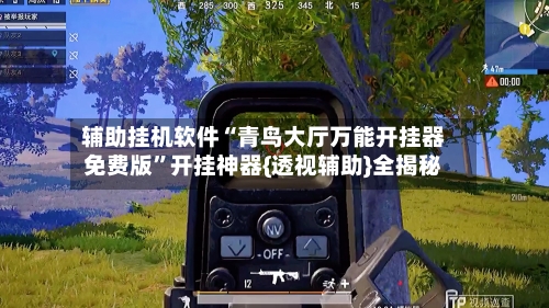 辅助挂机软件“青鸟大厅万能开挂器免费版”开挂神器{透视辅助}全揭秘