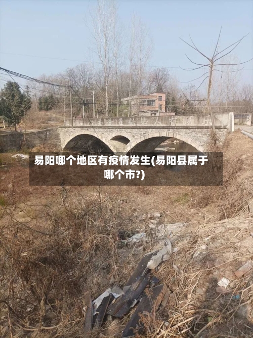 易阳哪个地区有疫情发生(易阳县属于哪个市?)-第3张图片