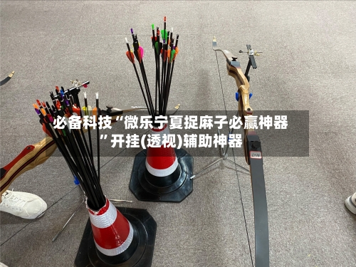 必备科技“微乐宁夏捉麻子必赢神器”开挂(透视)辅助神器-第3张图片