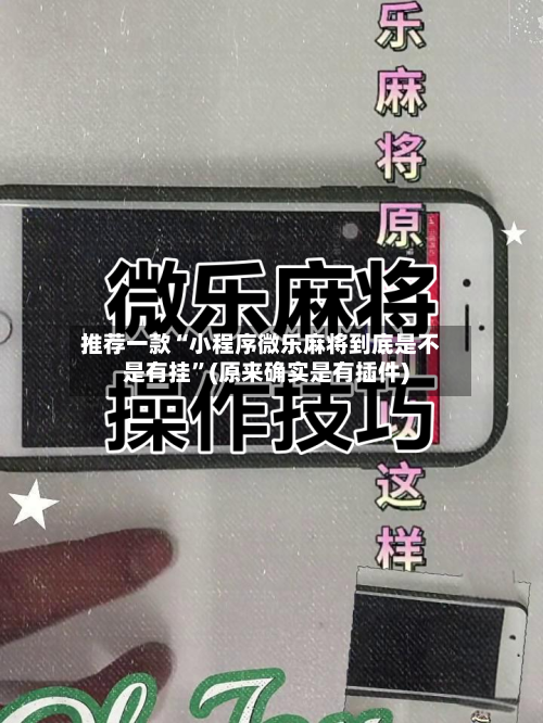 推荐一款“小程序微乐麻将到底是不是有挂”(原来确实是有插件)-第2张图片