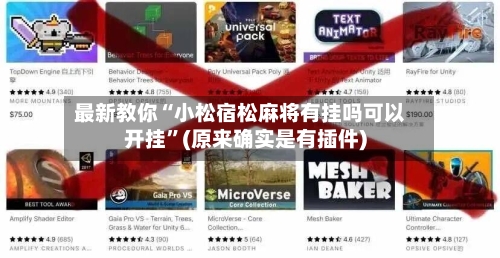 最新教你“小松宿松麻将有挂吗可以开挂”(原来确实是有插件)-第2张图片