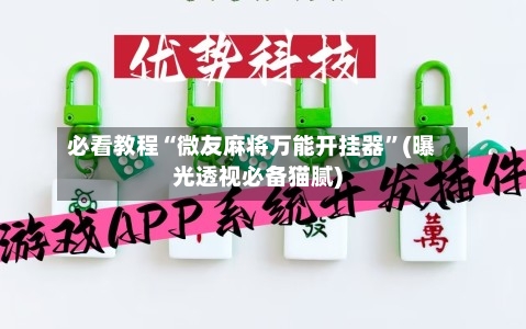 必看教程“微友麻将万能开挂器”(曝光透视必备猫腻)-第2张图片