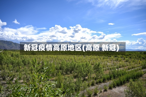 新冠疫情高原地区(高原 新冠)-第2张图片