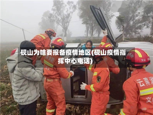 砚山为啥要报备疫情地区(砚山疫情指挥中心电话)-第3张图片