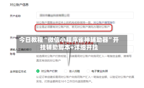 今日教程“微信小程序雀神辅助器”开挂辅助脚本+详细开挂-第2张图片