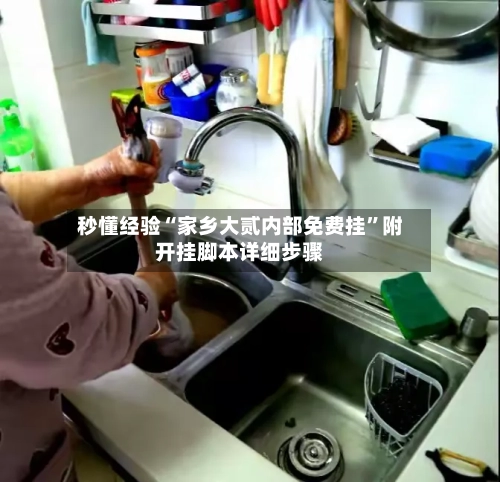 秒懂经验“家乡大贰内部免费挂”附开挂脚本详细步骤-第2张图片