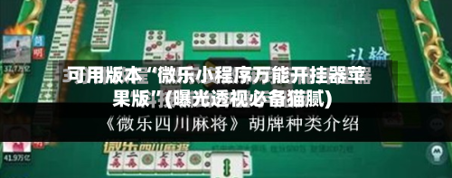 可用版本“微乐小程序万能开挂器苹果版”(曝光透视必备猫腻)-第2张图片