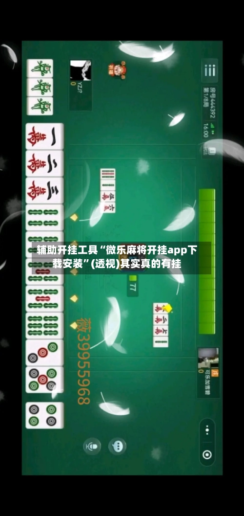 辅助开挂工具“微乐麻将开挂app下载安装”(透视)其实真的有挂-第3张图片