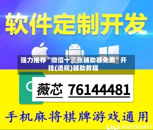 强力推荐“微信十三张辅助器免费”开挂(透视)辅助教程-第2张图片