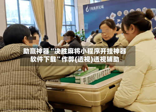 助赢神器“决胜麻将小程序开挂神器软件下载”作弊(透视)透视辅助-第3张图片