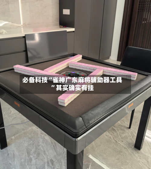 必备科技“雀神广东麻将辅助器工具	”其实确实有挂-第2张图片