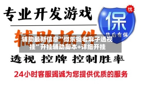 辅助最新信息“微乐捉老麻子透视挂”开挂辅助脚本+详细开挂-第3张图片