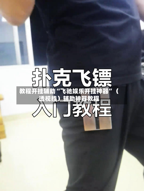 教程开挂辅助“飞驰娱乐开挂神器”（透视挂）辅助神器教程