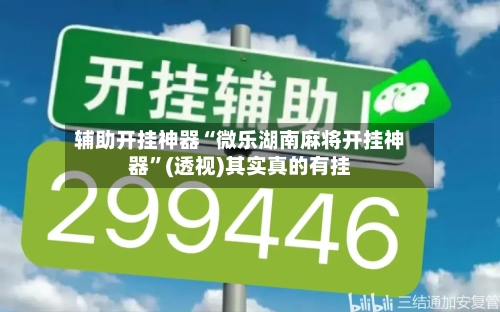 辅助开挂神器“微乐湖南麻将开挂神器”(透视)其实真的有挂
