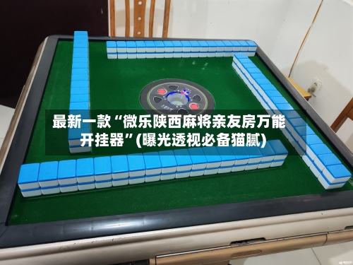 最新一款“微乐陕西麻将亲友房万能开挂器”(曝光透视必备猫腻)-第2张图片
