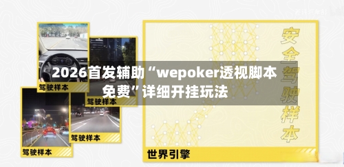 2026首发辅助“wepoker透视脚本免费	”详细开挂玩法-第2张图片