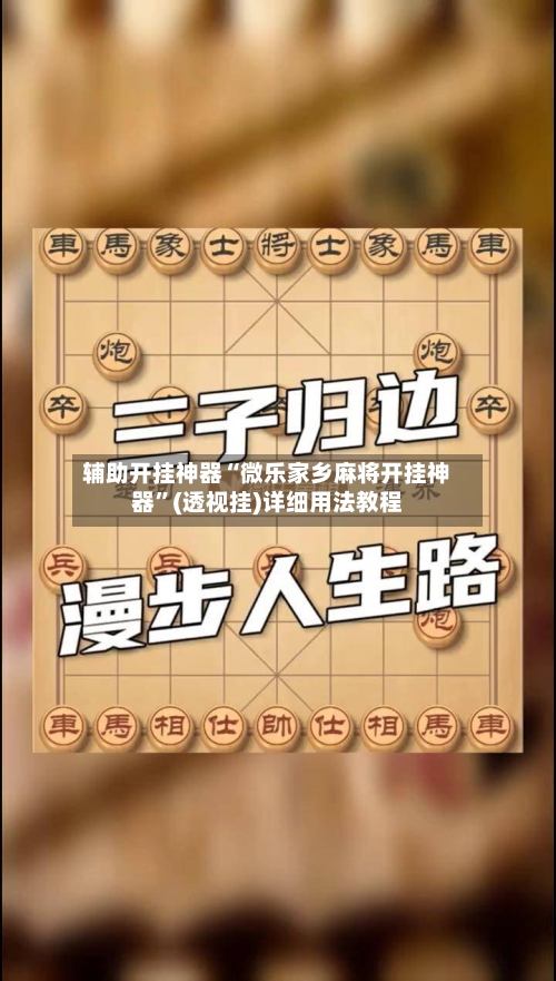 辅助开挂神器“微乐家乡麻将开挂神器	”(透视挂)详细用法教程-第2张图片