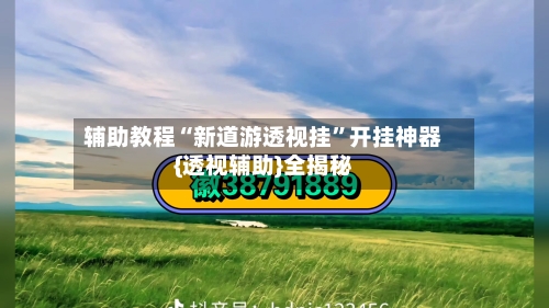 辅助教程“新道游透视挂”开挂神器{透视辅助}全揭秘-第3张图片