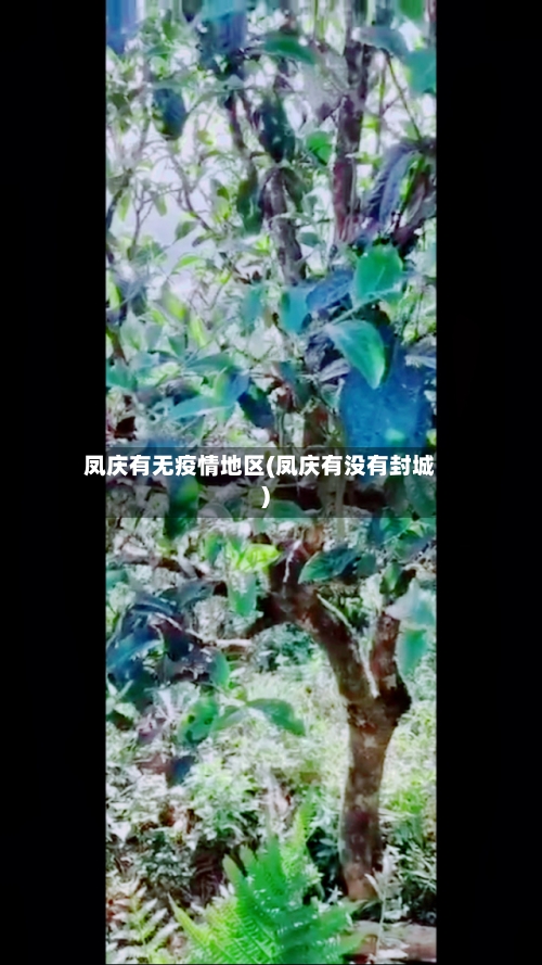 凤庆有无疫情地区(凤庆有没有封城)-第2张图片