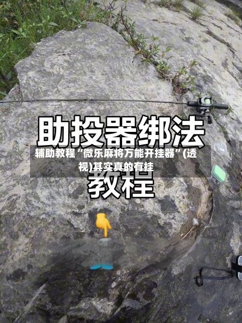 辅助教程“微乐麻将万能开挂器”(透视)其实真的有挂