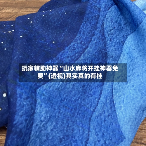 玩家辅助神器“山水麻将开挂神器免费”(透视)其实真的有挂